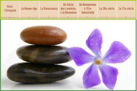 Historique des produits de beaut bio